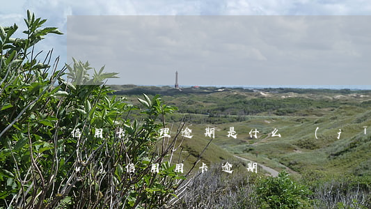 信用卡處理逾期是什么機(jī)構(gòu)(信用用卡逾期)