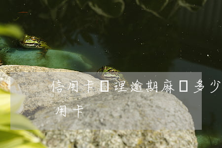 信用卡處理逾期麻煩多少錢(逾期了怎么辦信用卡)