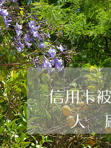 信用卡被丟了欠的錢怎么辦(我信用卡丟了 被別人盜刷 這錢要還嗎)