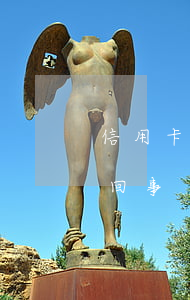 信用卡被人盗刷出现逾期(信用卡被盗刷怎么回事)