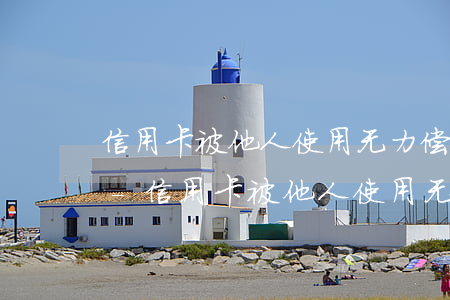 信用卡被他人使用无力偿还需要些什么材料-信用卡被他人使用无力偿还需要些什么材料呢