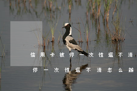 信用卡被停一次性還不清怎么辦-信用卡被停一次性還不清怎么辦呢