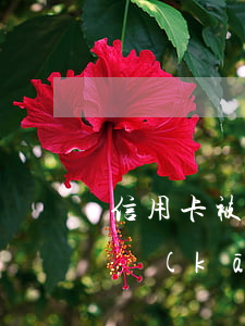 信用卡被停多久可以重新申請(qǐng)開(kāi)通-信用卡被停多久可以重新申請(qǐng)開(kāi)通白條
