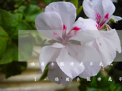 信用卡被停是不是已經(jīng)上征信了-信用卡被停是不是已經(jīng)上征信了呀