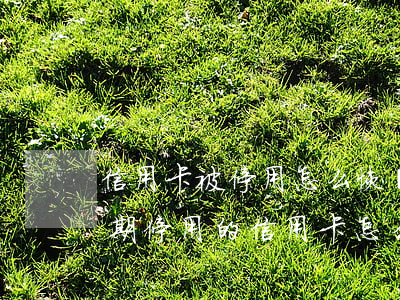 信用卡被停用怎么恢復(fù)沒有逾期(逾期停用的信用卡怎么恢復(fù))