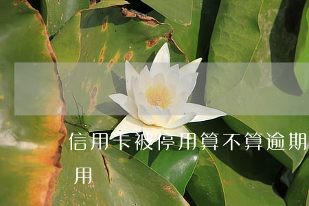 信用卡被停用算不算逾期(信用卡逾期會被停用嗎)