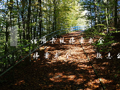 信用卡被停要求全額還款怎么辦-信用卡被停要求全額還款怎么辦理