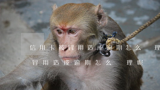 信用卡被冒用造成逾期怎么處理-信用卡被冒用造成逾期怎么處理呢