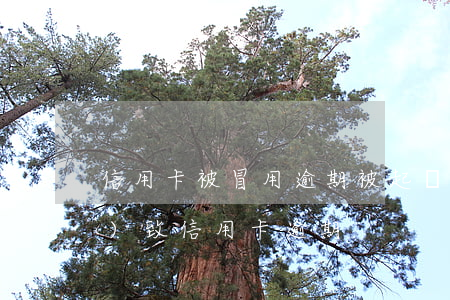 信用卡被冒用逾期被起訴(因被騙導(dǎo)致信用卡逾期)