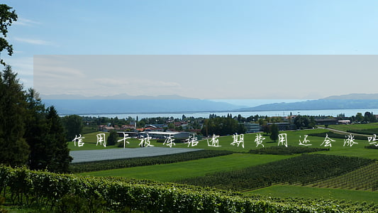 信用卡被冻结逾期费用还会涨吗
