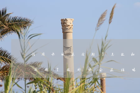 信用卡被冻逾期了怎么和银行协商-信用卡逾期了银行卡会冻结吗