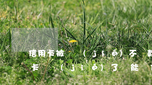 信用卡被凍結(jié)不還款可以嗎(銀行卡凍結(jié)了還能還信用卡嗎)