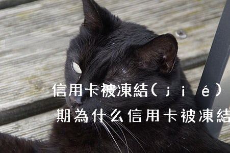 信用卡被凍結(jié)了沒有逾期(沒有逾期為什么信用卡被凍結(jié))