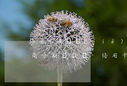 信用卡被凍結(jié)了能協(xié)商分期還款嗎-信用卡被凍結(jié)了能協(xié)商分期還款嗎怎么還