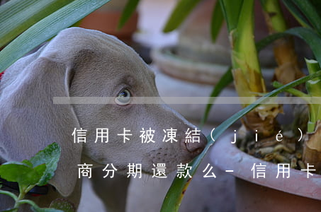 信用卡被凍結(jié)可以協(xié)商分期還款么-信用卡被凍結(jié)可以協(xié)商分期還款么嗎
