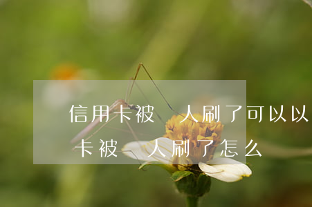 信用卡被別人刷了可以以什么起訴-我信用卡被別人刷了怎么辦
