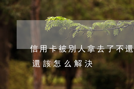 信用卡被別人拿去了不還(別人拿走信用卡不還該怎么解決)