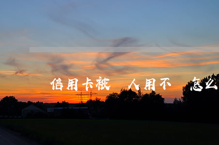 信用卡被別人用不還怎么辦