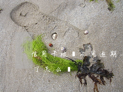 信用卡被別人用逾期-信用卡被別人用逾期了怎么辦