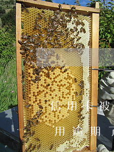 信用卡被別人用逾期了怎么辦(信用卡被別人用逾期了怎么辦呢)