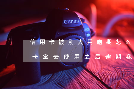 信用卡被別人用逾期怎么辦(別人把我的信用卡拿去使用之后逾期我可以告他嗎)