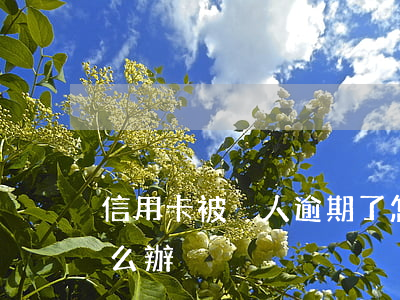 信用卡被別人逾期了怎么辦(信用用卡逾期怎么辦)