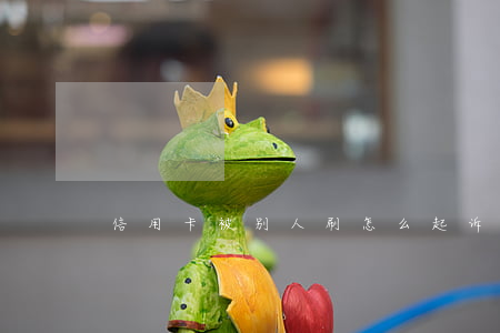 信用卡被别人刷怎么起诉案由什么