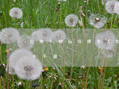 信用卡被前任透支了怎么辦(前夫透支我信用卡不還)