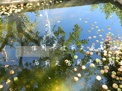 信用卡被前夫逾期如何報(bào)警(離婚后前夫信用卡逾期銀行為何打電話我)