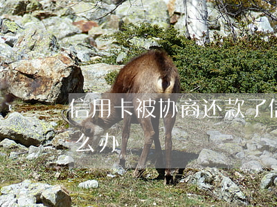 信用卡被协商还款了(信用卡被协商还款了怎么办)