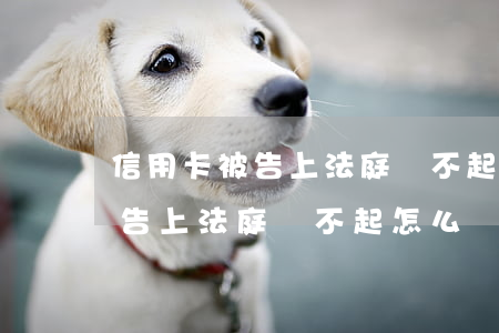 信用卡被告上法庭還不起怎么辦-信用卡被告上法庭還不起怎么辦呢