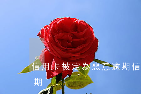 信用卡被定為惡意逾期（信用卡被定為惡意逾期）