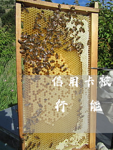 信用卡被強(qiáng)制執(zhí)行還能協(xié)商分期嗎-被強(qiáng)制執(zhí)行信用卡還能用嗎