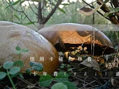 信用卡被扣年費(fèi)逾期半年多(銀行卡年費(fèi)逾期)