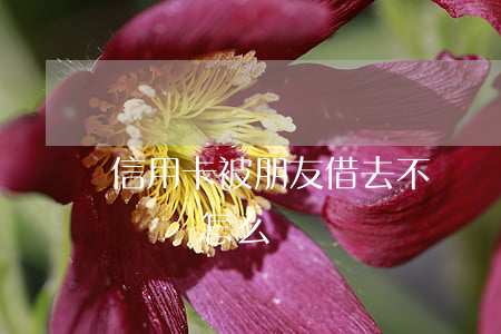 信用卡被朋友借去不還錢(借給朋友信用卡不還錢怎么辦)