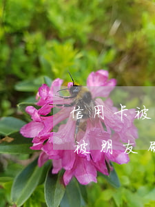 信用卡被朋友刷了無力償還怎么辦-信用卡被朋友刷了無力償還怎么辦呢