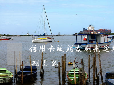 信用卡被朋友刷光逾期(信用卡被朋友刷光逾期怎么辦)