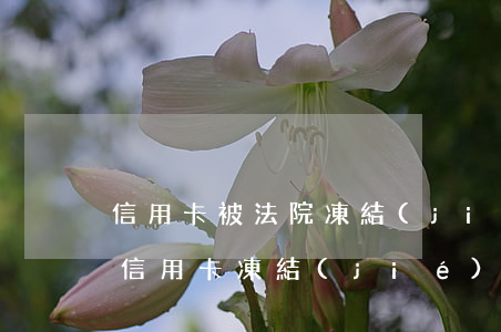 信用卡被法院凍結(jié)后可以還款嗎(信用卡凍結(jié)后還能還錢嗎)