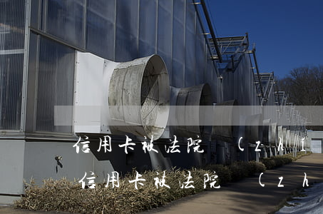 信用卡被法院執(zhí)行了該怎么辦(欠信用卡被法院執(zhí)行)