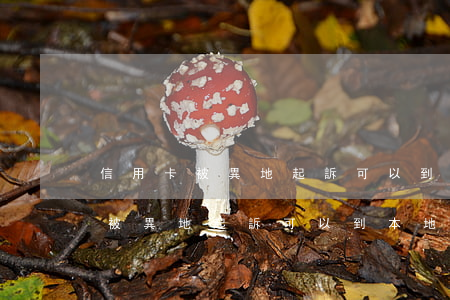 信用卡被異地起訴可以到本地來嗎-信用卡被異地起訴可以到本地來嗎怎么辦