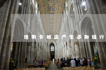 信用卡被盗产生逾期(银行卡信用卡被盗刷)