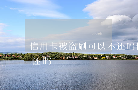 信用卡被盗刷可以不还吗(信用卡被盗刷钱要还吗)