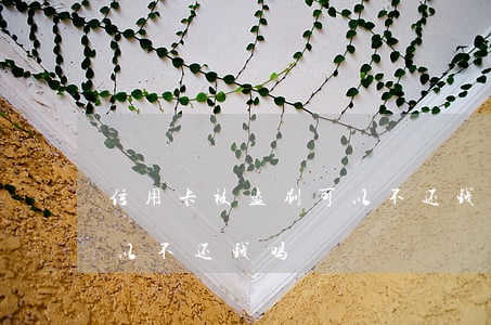 信用卡被盗刷可以不还钱吗(信用卡被盗刷可以不还钱吗)