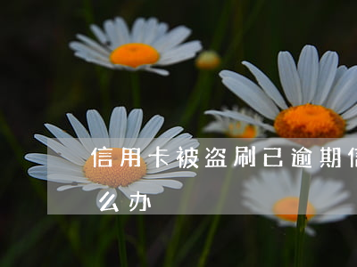 信用卡被盗刷已逾期(信用卡被盗刷已逾期怎么办)