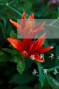 信用卡被盗刷透支怎么办(信用卡被盗刷怎么办有办法追回吗)