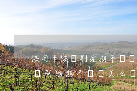 信用卡被盜刷逾期不還會怎么樣-信用卡被盜刷逾期不還會怎么樣嗎