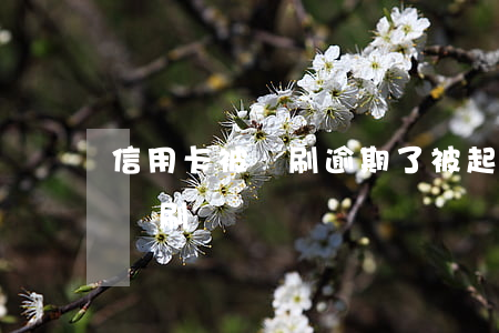 信用卡被盜刷逾期了被起訴(銀行卡信用卡被盜刷)