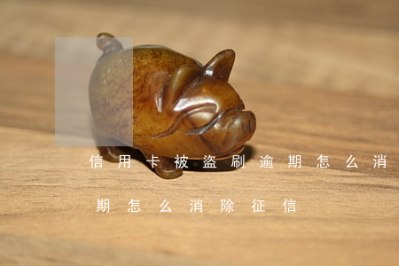信用卡被盜刷逾期怎么消除(信用卡被盜刷逾期怎么消除征信)