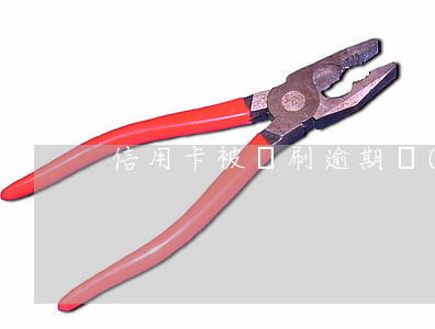 信用卡被盜刷逾期會(huì)有利息嗎
