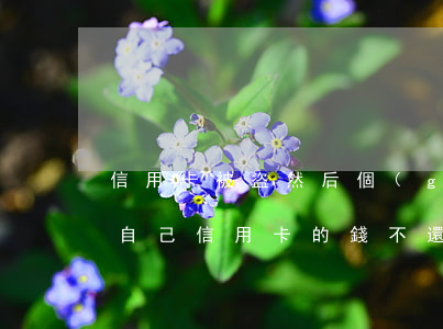 信用卡被盜然后個(gè)人不還(別人盜用自己信用卡的錢不還怎么辦)